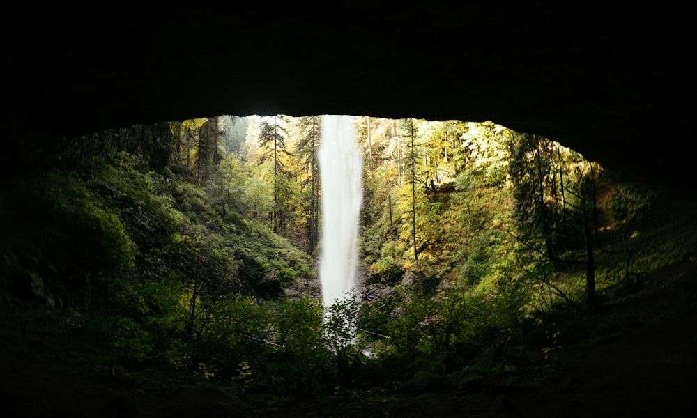 This is a placeholder image.