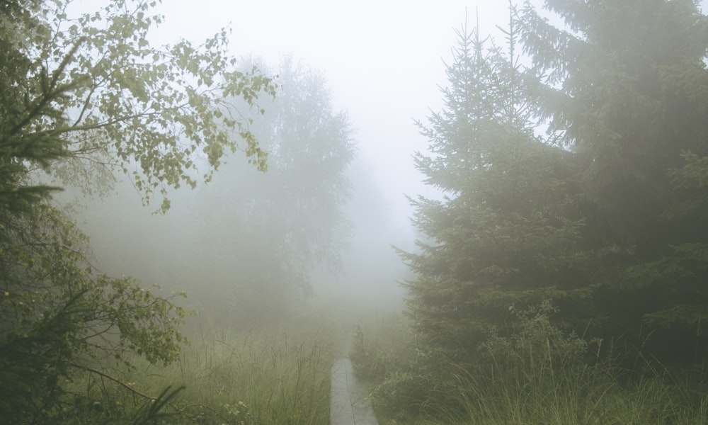 This is a placeholder image.